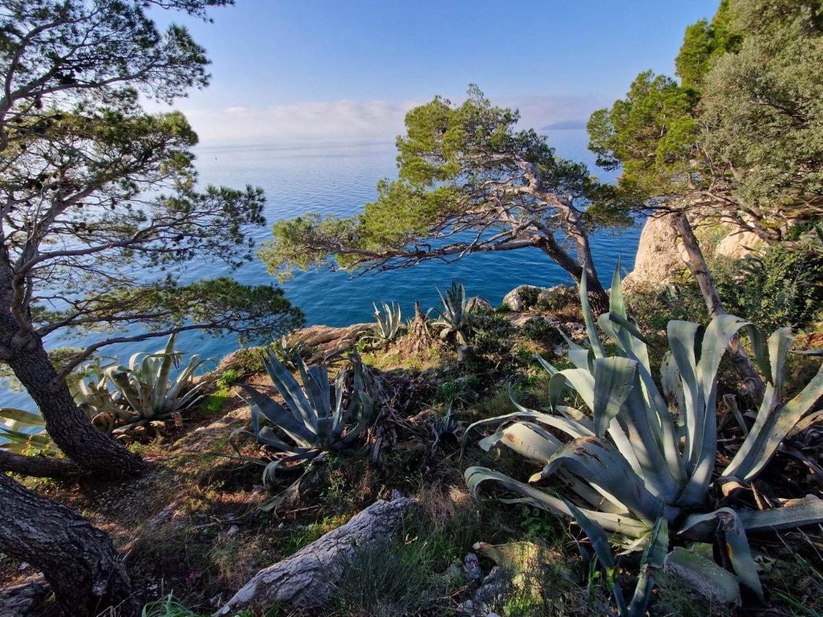 Apartment Villa Mirna Makarska Extérieur photo