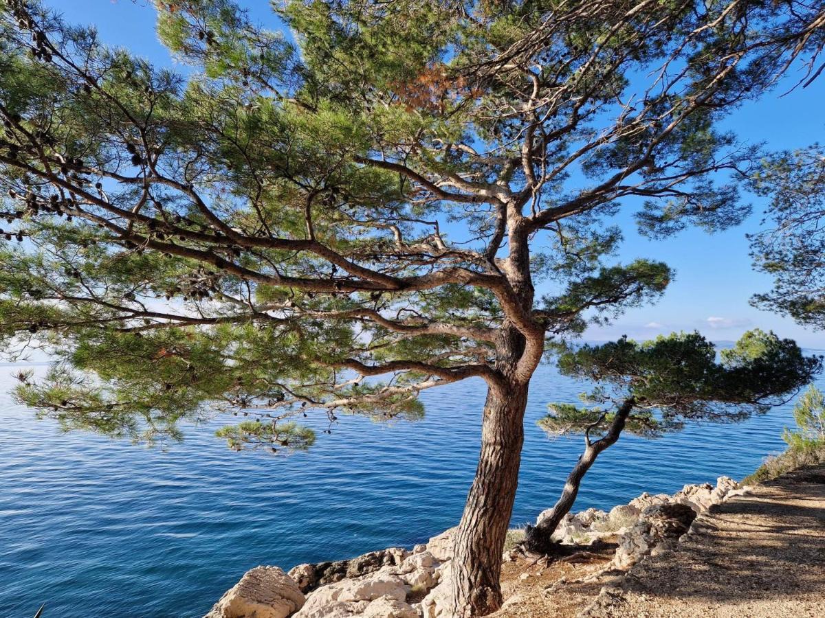 Apartment Villa Mirna Makarska Extérieur photo