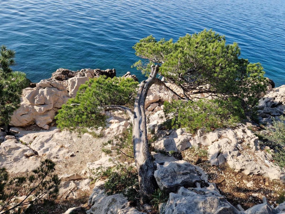 Apartment Villa Mirna Makarska Extérieur photo